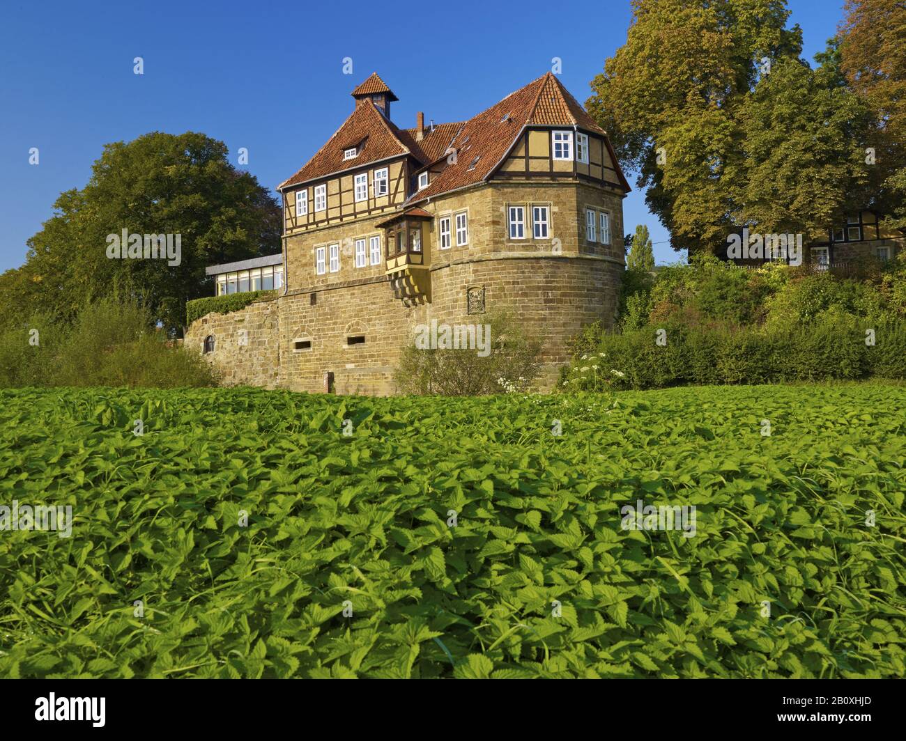 Schloss Petershagen an der Weser, Kr. Minden-Lübbecke, Nordrhein-Westfalen, Deutschland, Stockfoto