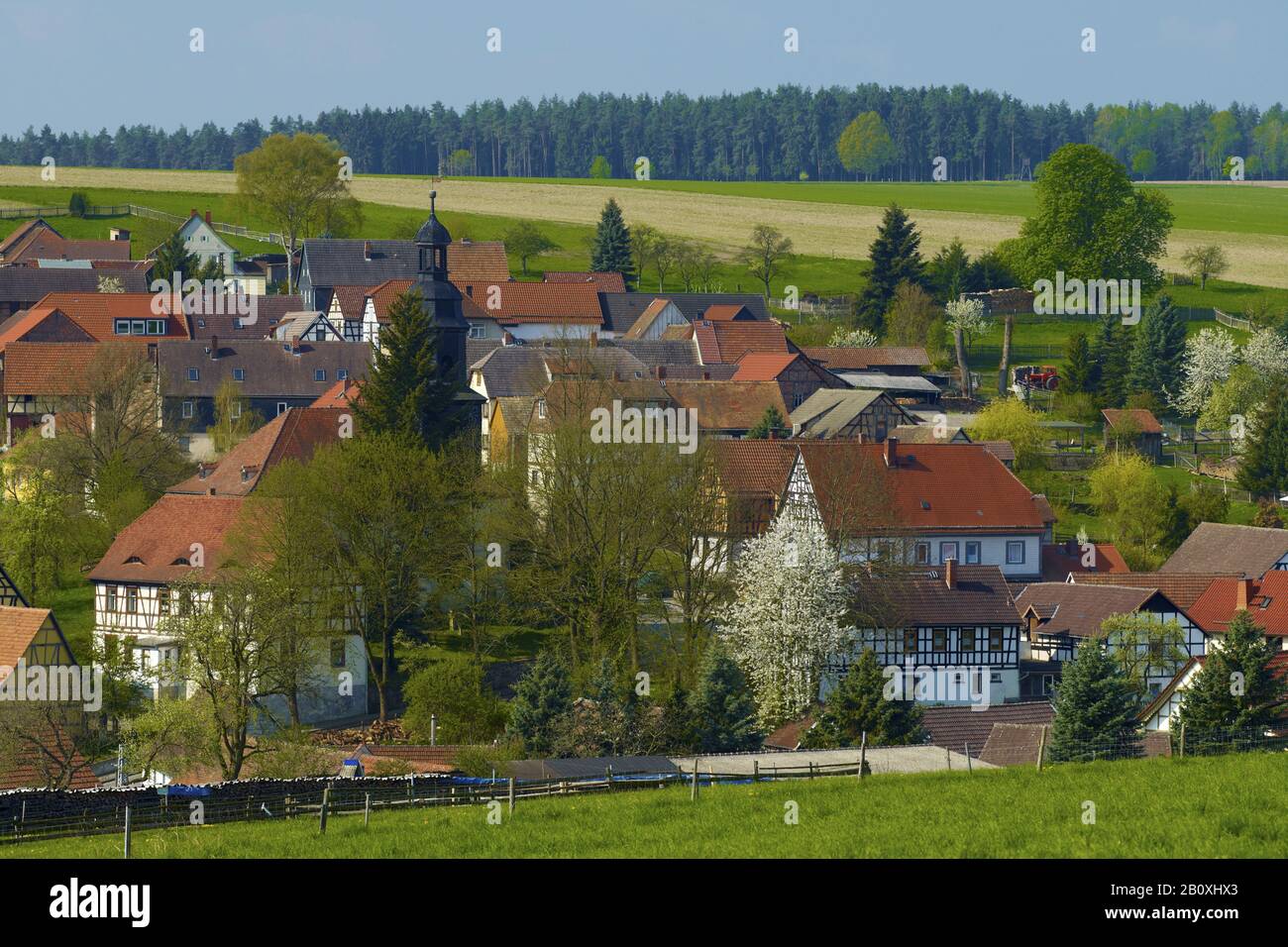 Blick auf Trockenborn mit Kirche, Saale-Holzland-Kreis, Thüringen, Deutschland, Stockfoto