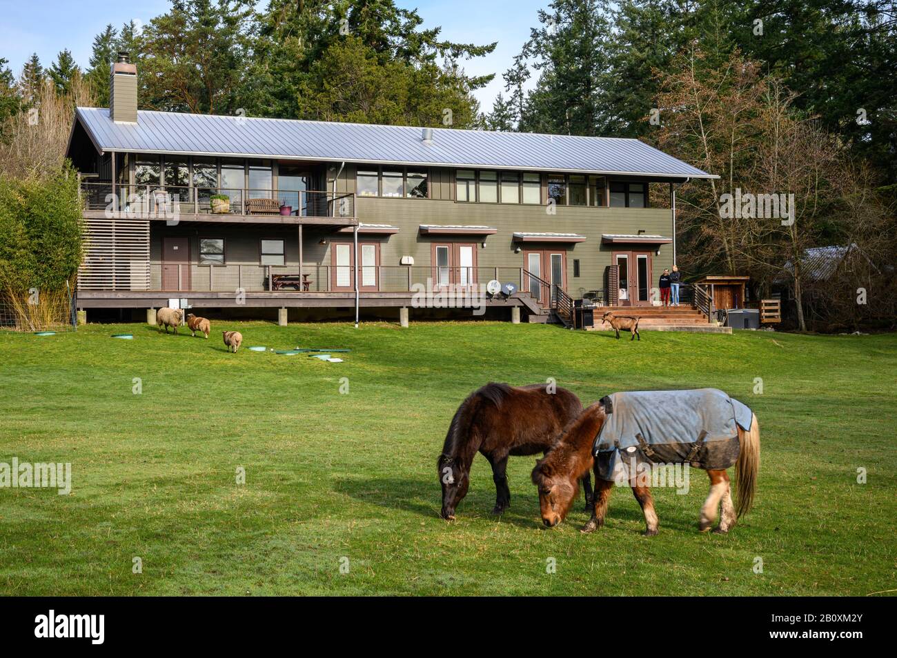 Pebble Cove Farm Inn auf Orcas Island, San Juan Islands, Washington. Stockfoto