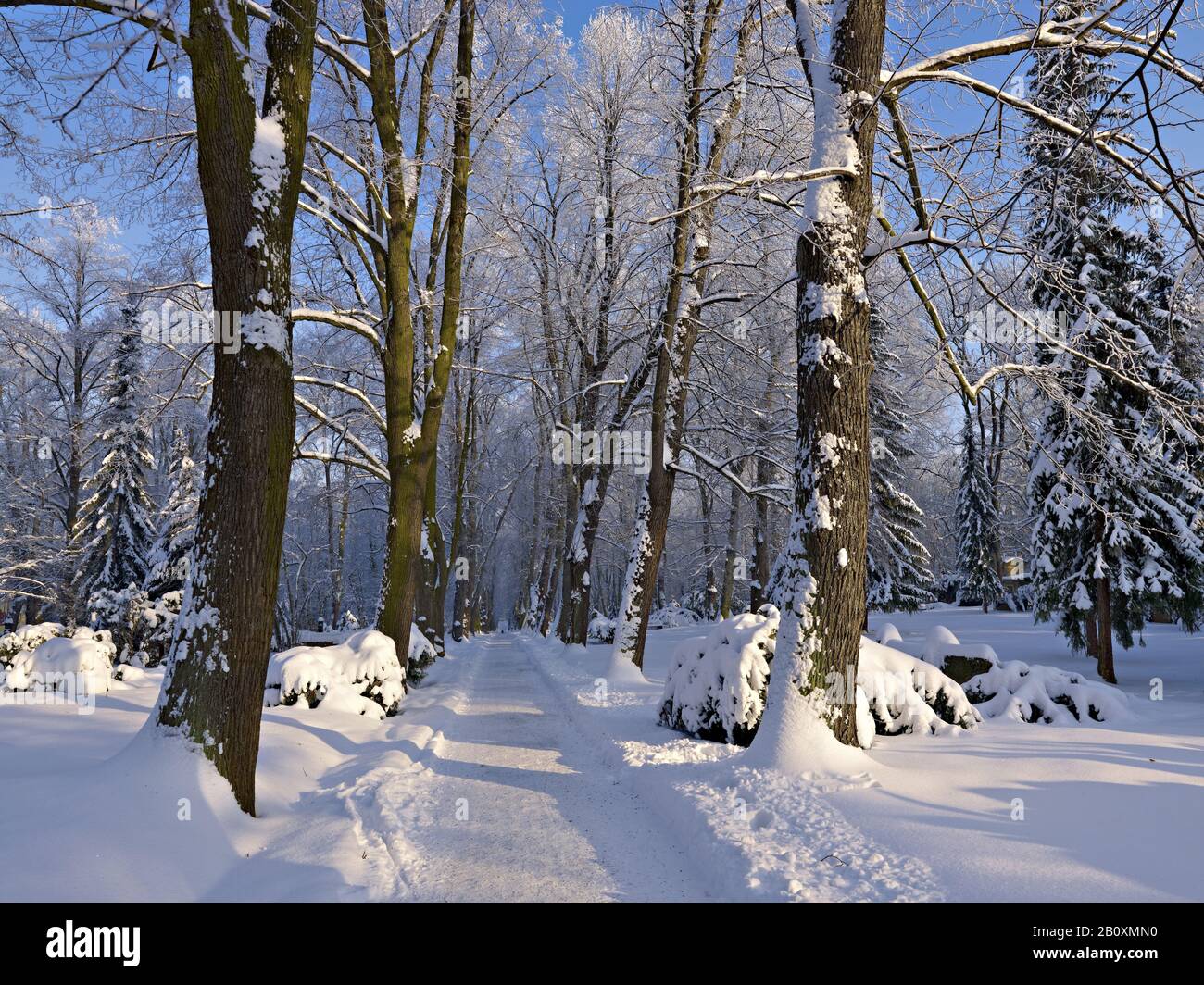 Gasse auf dem historischen Friedhof in Weimar, Thüringen, Stockfoto