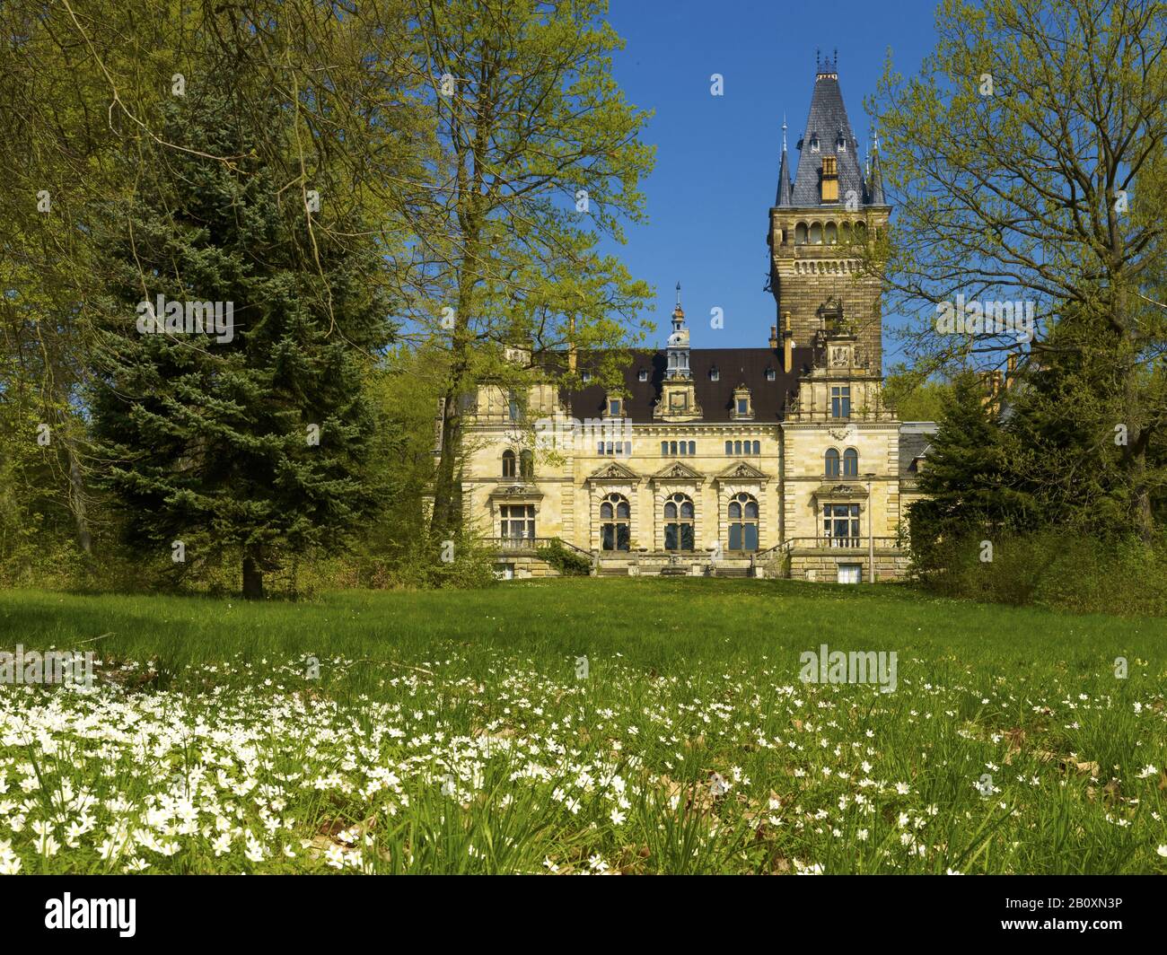 Saale holzland district Fotos und Bildmaterial in hoher Auflösung Alamy