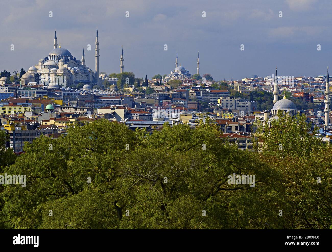 Blick über die Altstadt mit der Sultan-Süleyman-Moschee, Istanbul, Türkei, Stockfoto