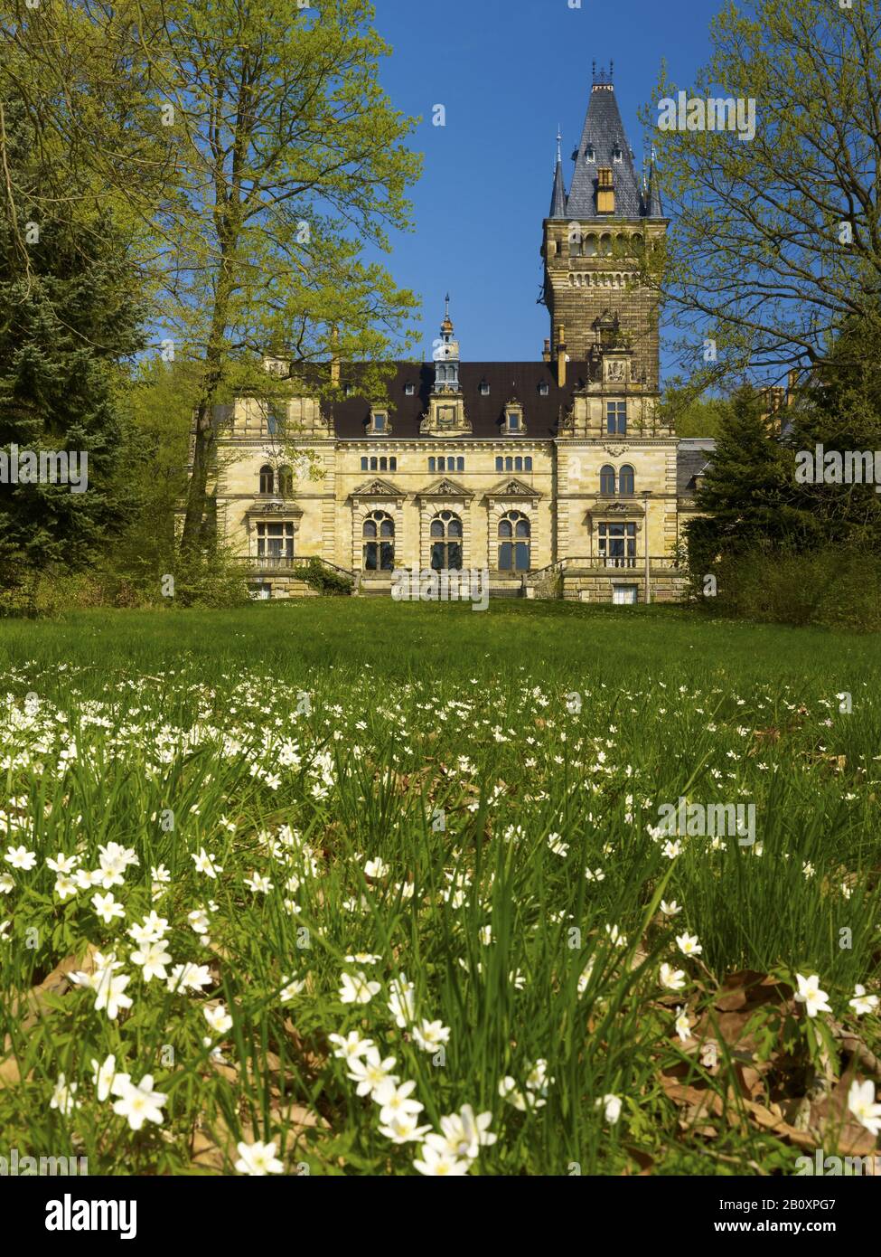 Jagschloss Hummelshain, Saale-Holzland-Kreis bei Kahla, Thüringen, Deutschland, Stockfoto