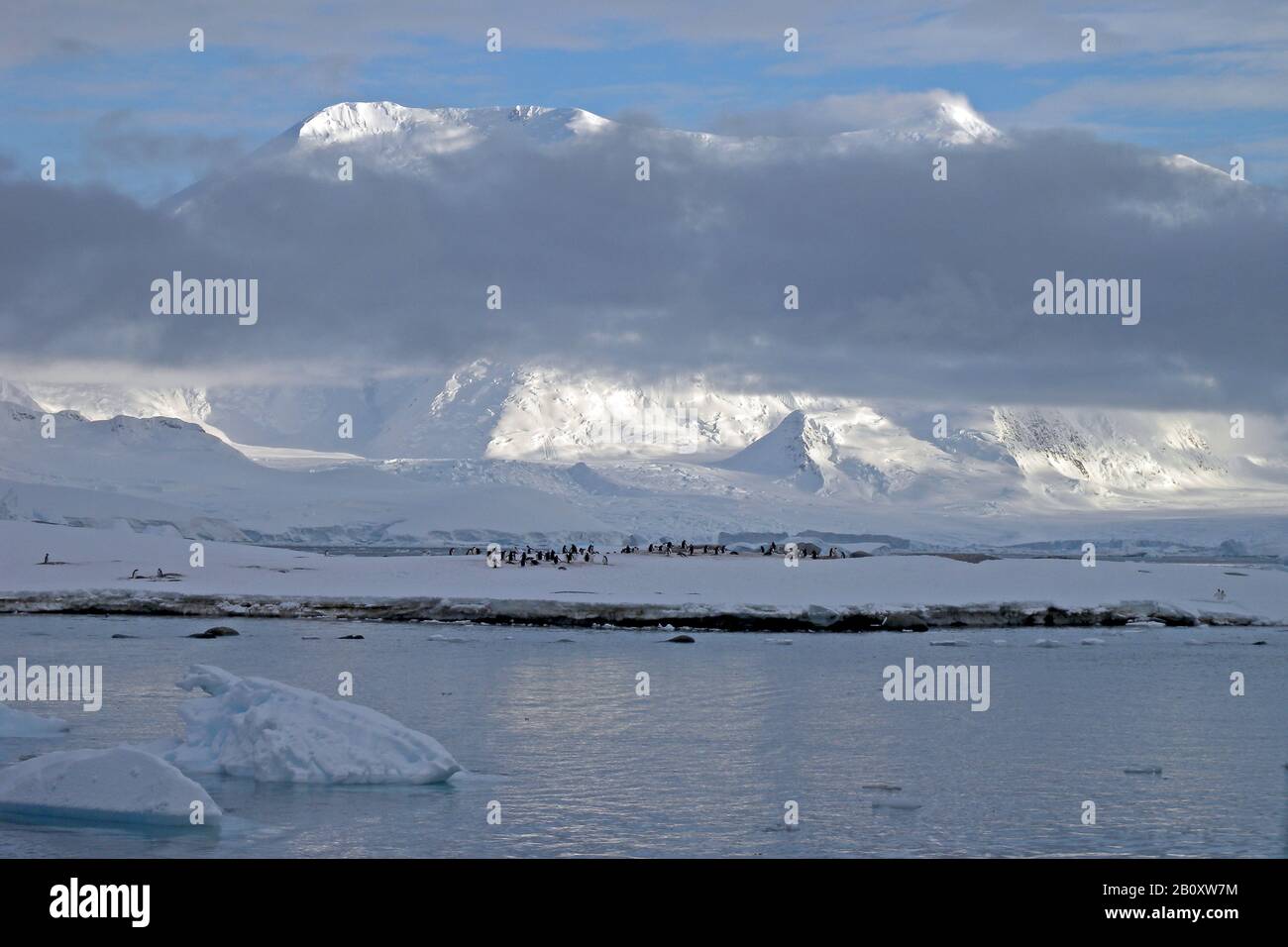 Port Lockroy, Antarktis, Wiencke-Insel, Palmer-Archipel Stockfoto