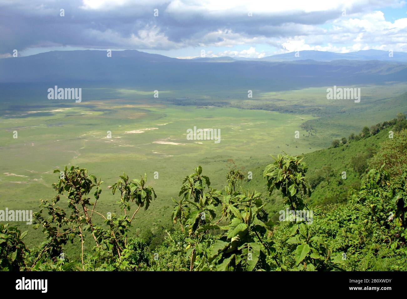 Blick vom Rand auf den Ngorongoro-Krater, Tansania, Ngorongoro-Nationalpark Stockfoto