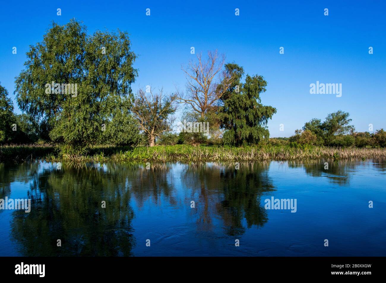 Donau-Delta, Rumänien, Donau-Delta Stockfoto