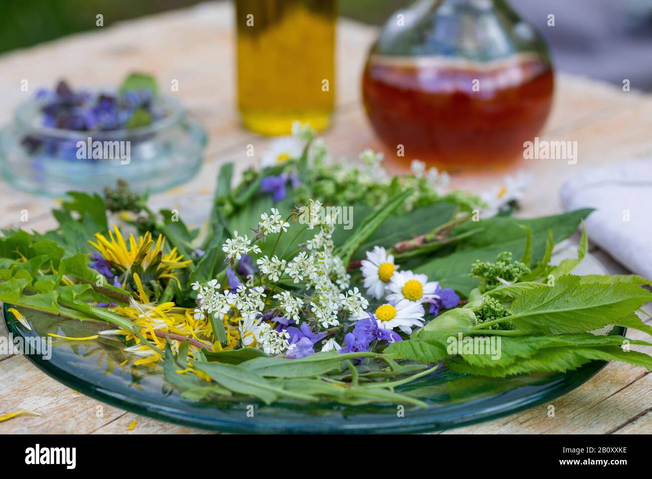 Frühlingssalat aus Wildkräutern, Deutschland Stockfoto