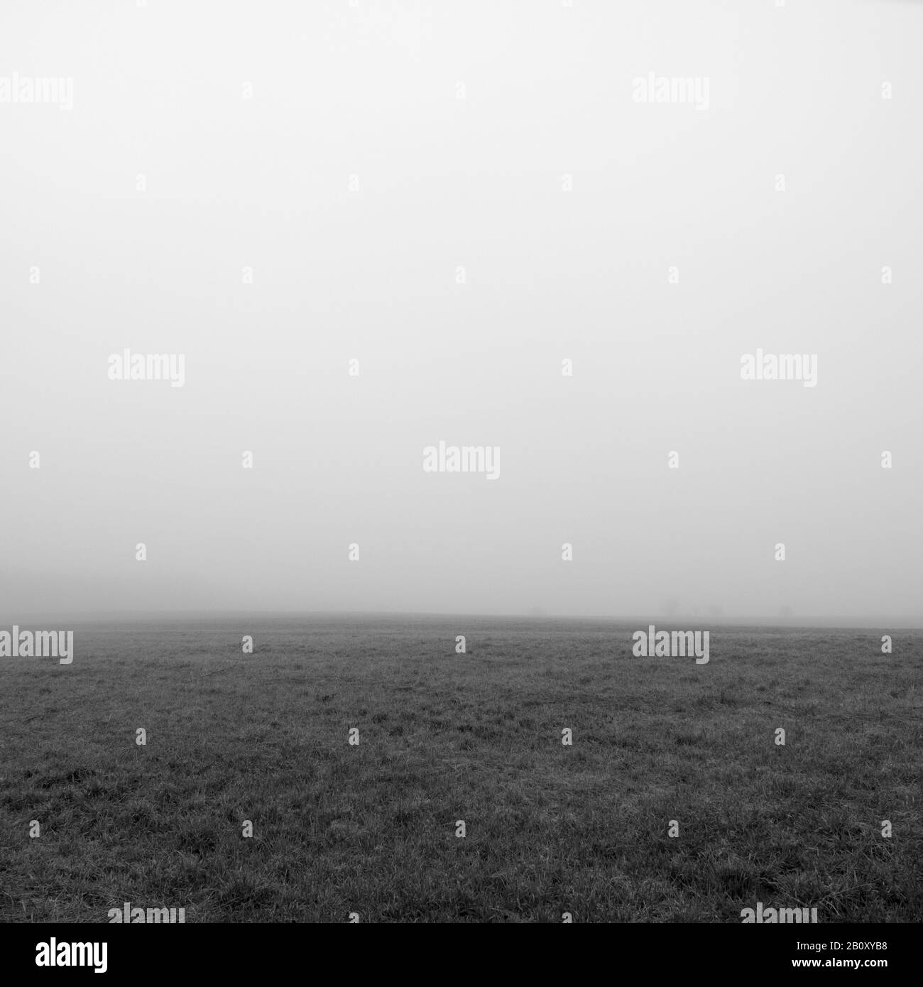 Feld im Nebel, Stockfoto