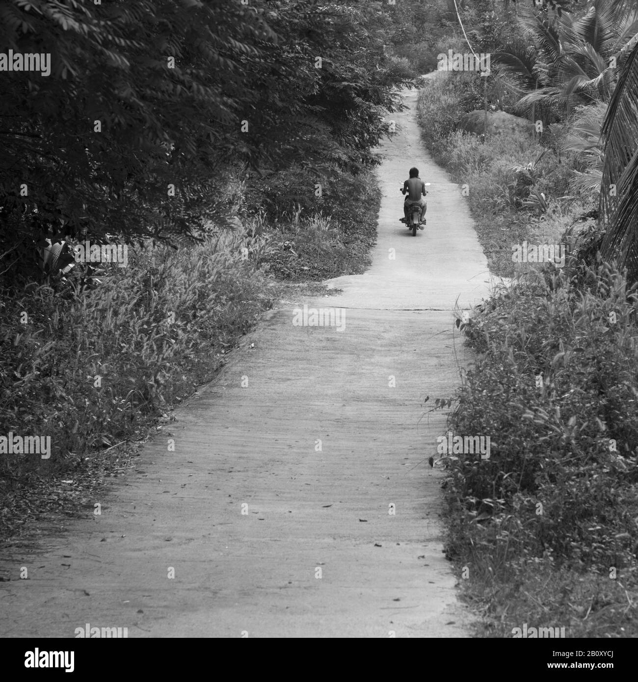 Moped Fahrer im Dschungel, Thailand, Asien, Stockfoto