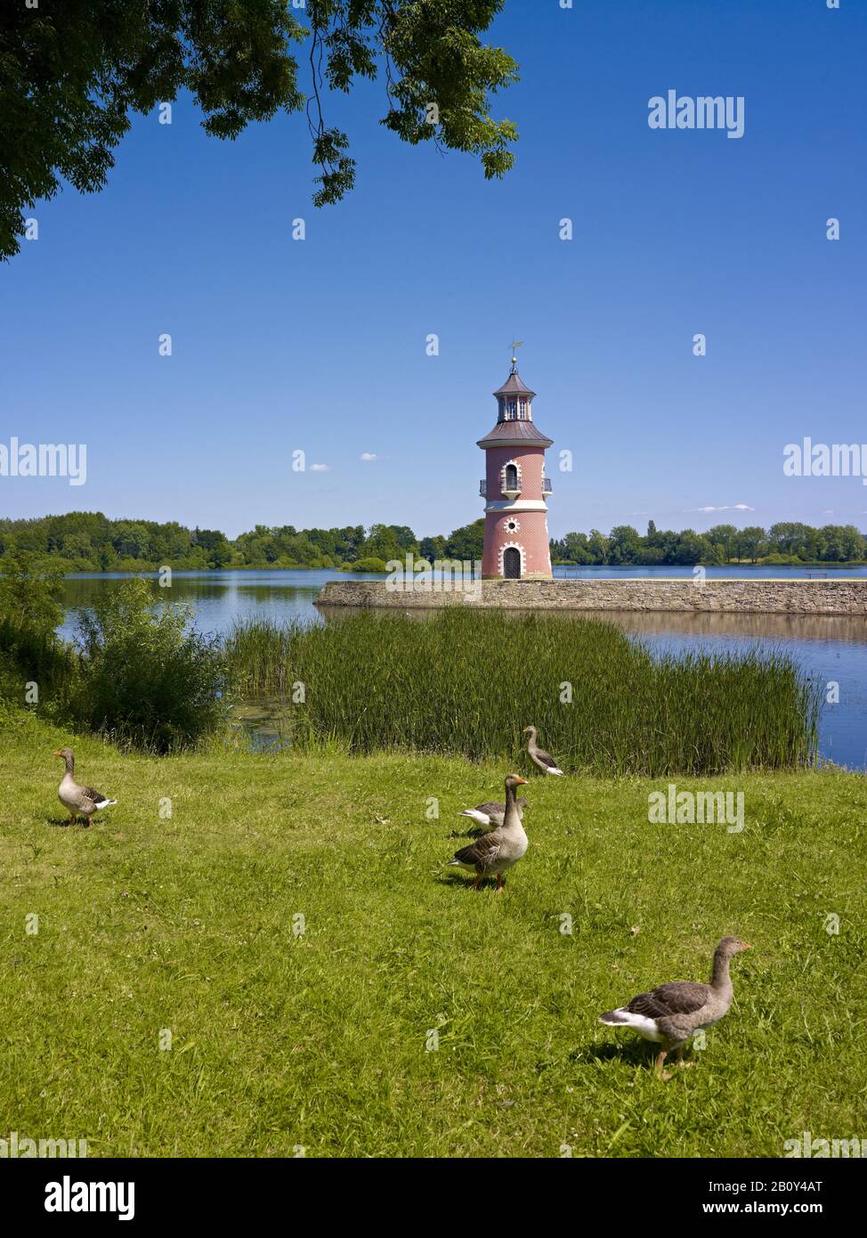 Leuchtturm in Moritzburg bei Dresden, Sachsen, Deutschland, Stockfoto