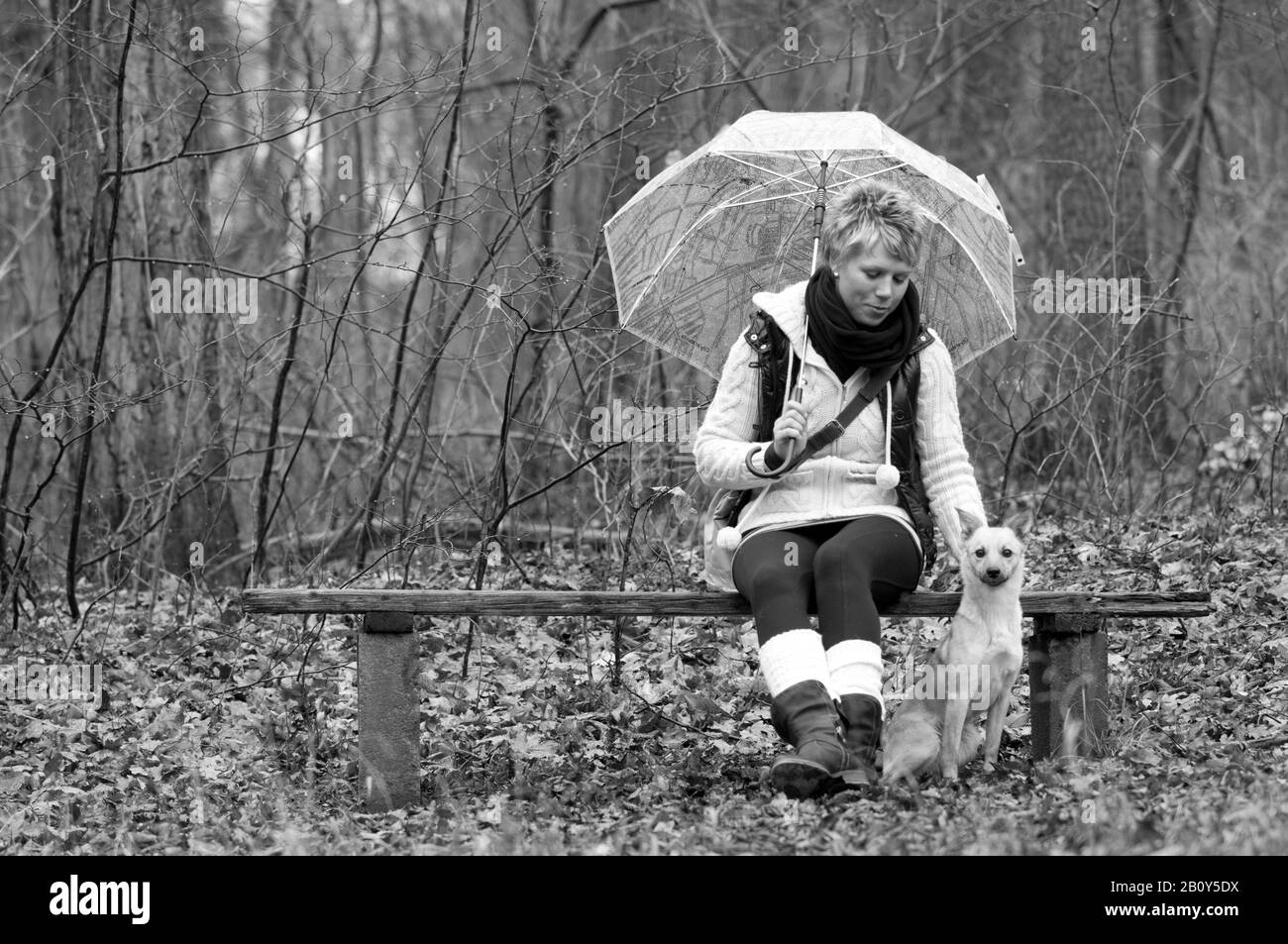 Junge Frau patit ihren Hund Stockfoto