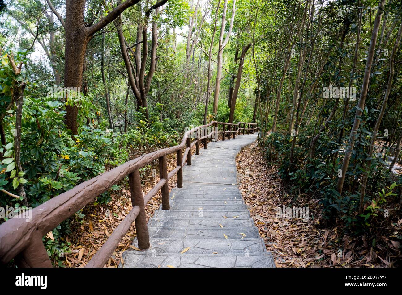 Steintreppe, Treppe, Pfad, Fußweg, Landstraße, Gasse, Gasse im Wald von Hongkong als Hintergrund, Tsing Yi Nature Trails Stockfoto