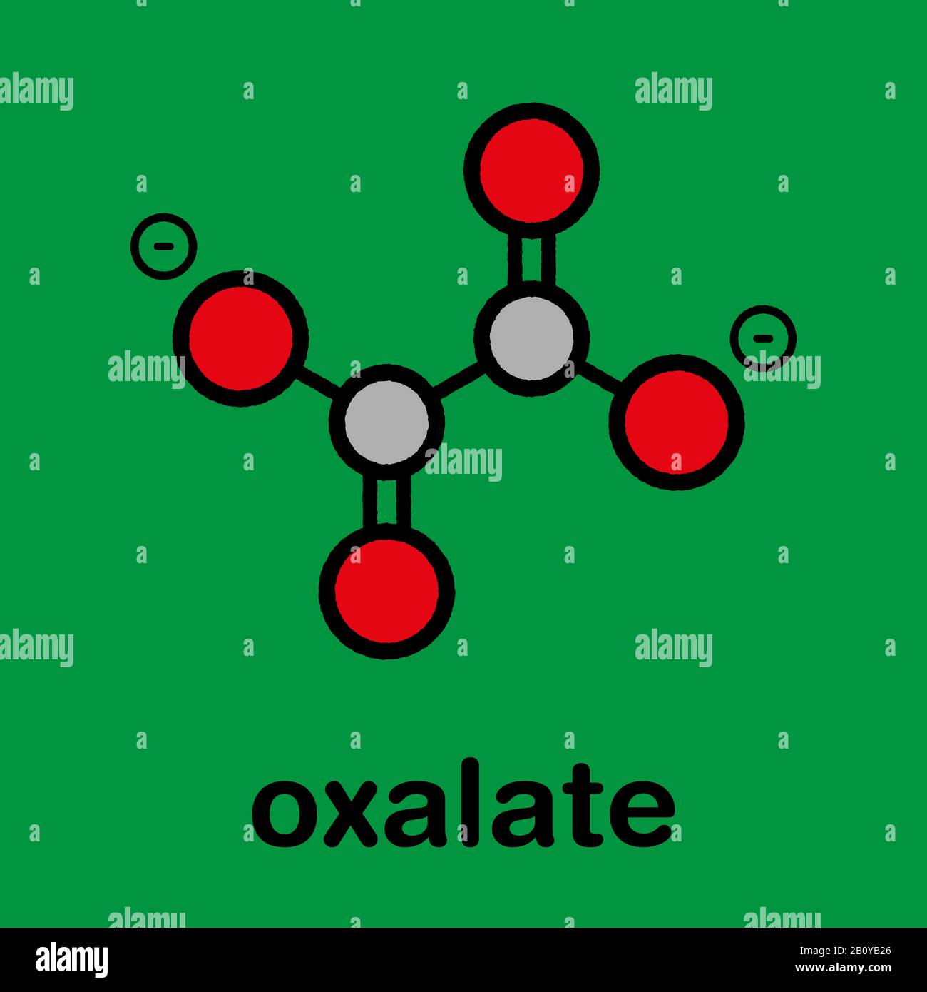 Oxalat-Anion-chemische Struktur, Abbildung Stockfoto
