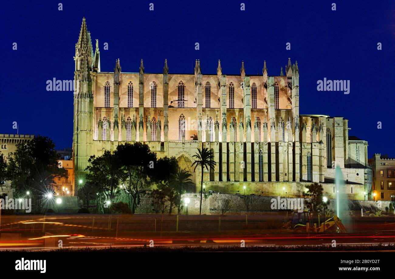 Palast Almudaina, Kathedrale La Seu, Parc de Mar, Palma de Mallorca, Mallorca, Balearen, Spanien, Stockfoto