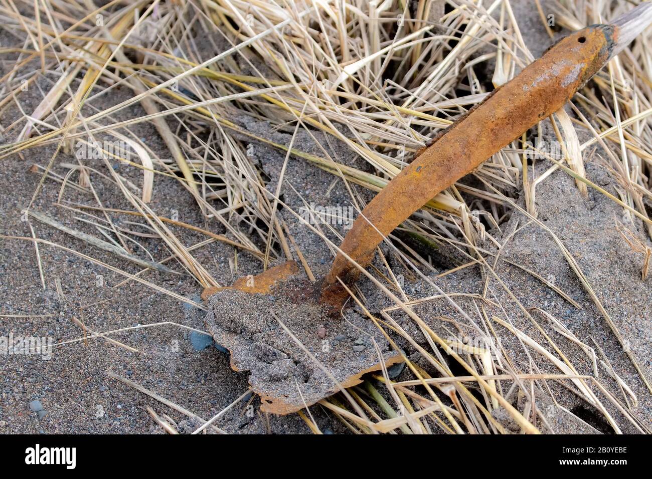Die Überreste einer alten Schaufel. Es ist stark verrostet und es fehlt viel. Sie ruht in Sand und Strohhalm an einem Strand. Nahansicht. Stockfoto