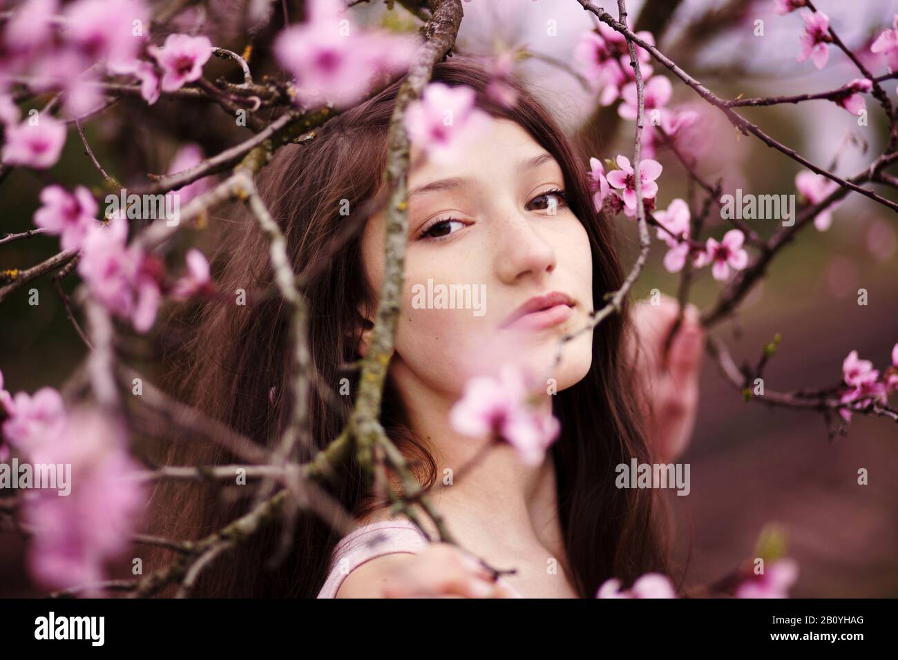 Mädchen mit Kirschblüten, Porträt, Stockfoto