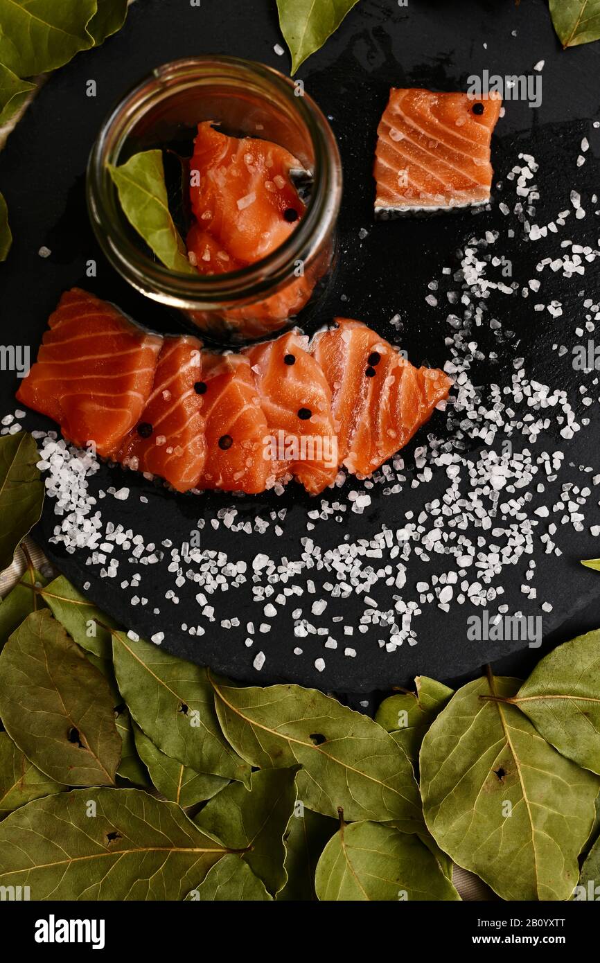 Zutaten zum Salzen von rotem Fisch mit Lorbeerblatt und schwarzem Pfeffer in einem Glasbecher auf einem Schiefersubstrat. Stockfoto