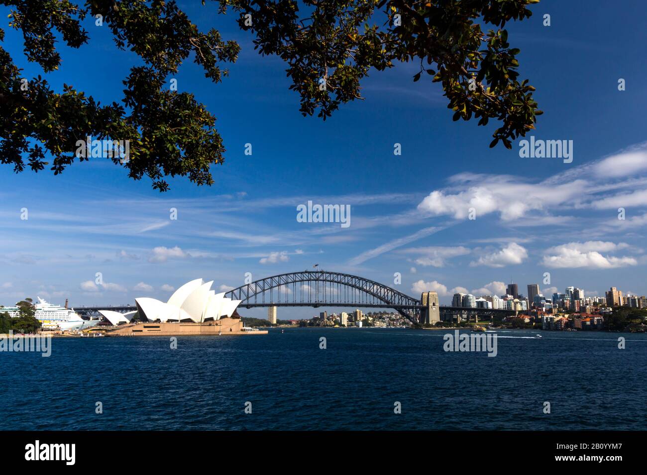 Der Blick von Mrs. Macquaries Zeigt auf die Skyline mit der Harbour Bridge und dem Opernhaus, Sydney, Australien Stockfoto