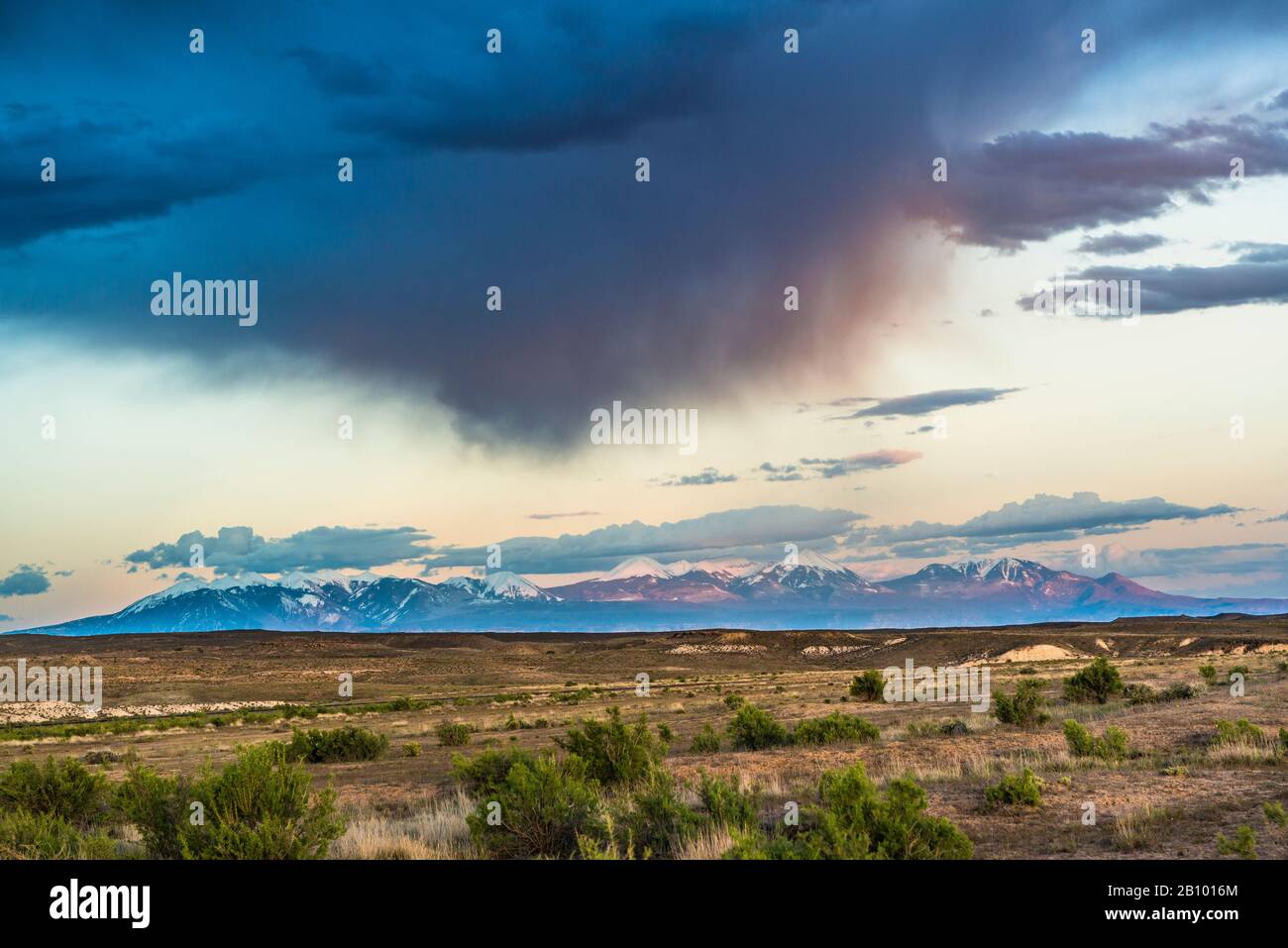 Regen Sie in der Wüste, USA Stockfoto