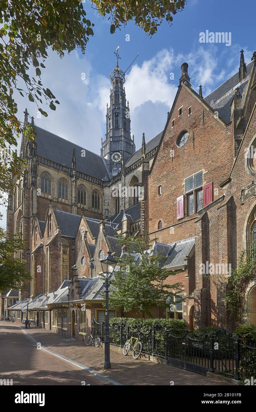 Die Große oder St. Bavo Kirche, Haarlem, Nord Holland, Niederlande Stockfoto