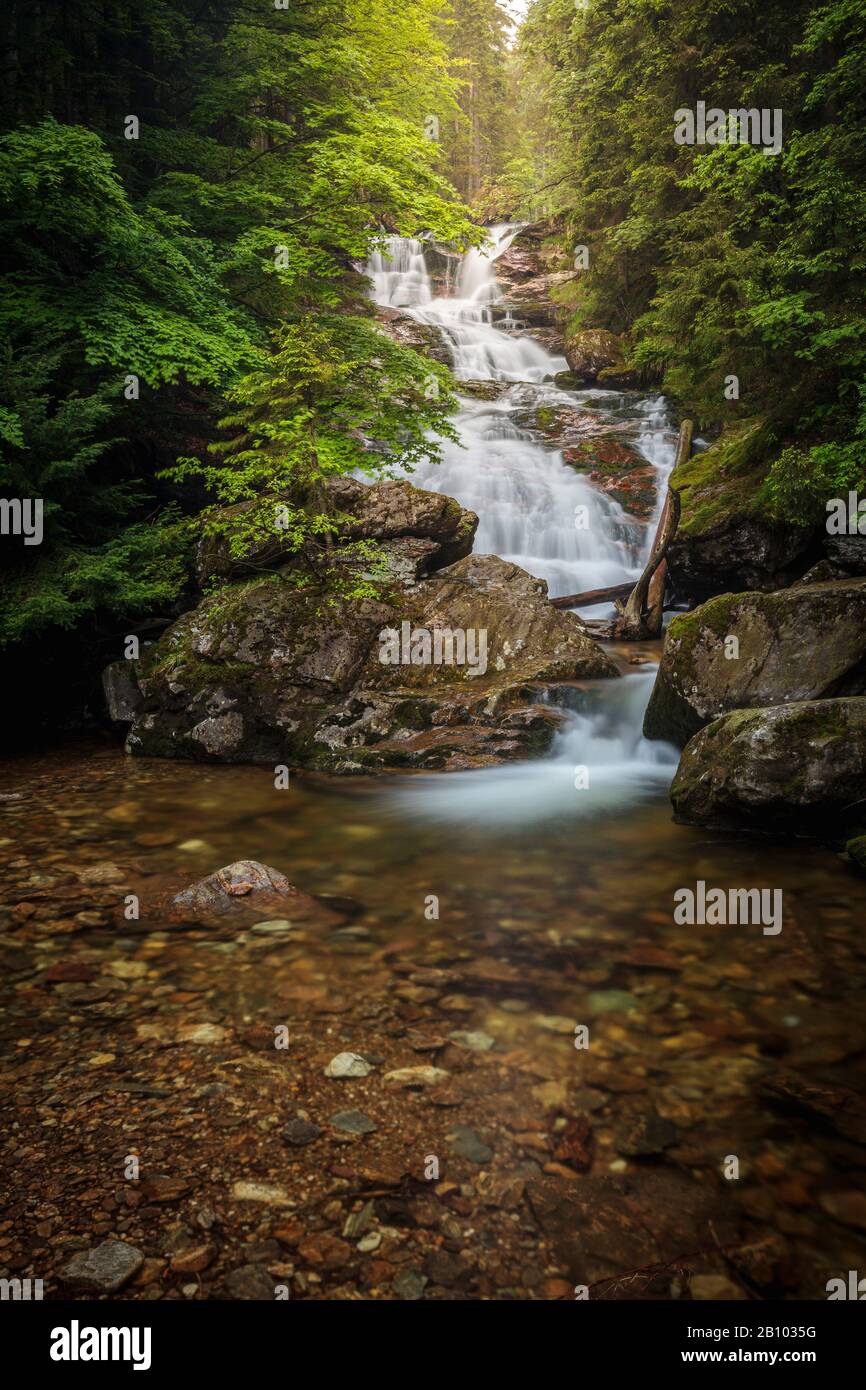 Wasserfall Rissloch bei Bodenmais, Nationalpark Bayerischer Wald, Bayern, Deutschland Stockfoto