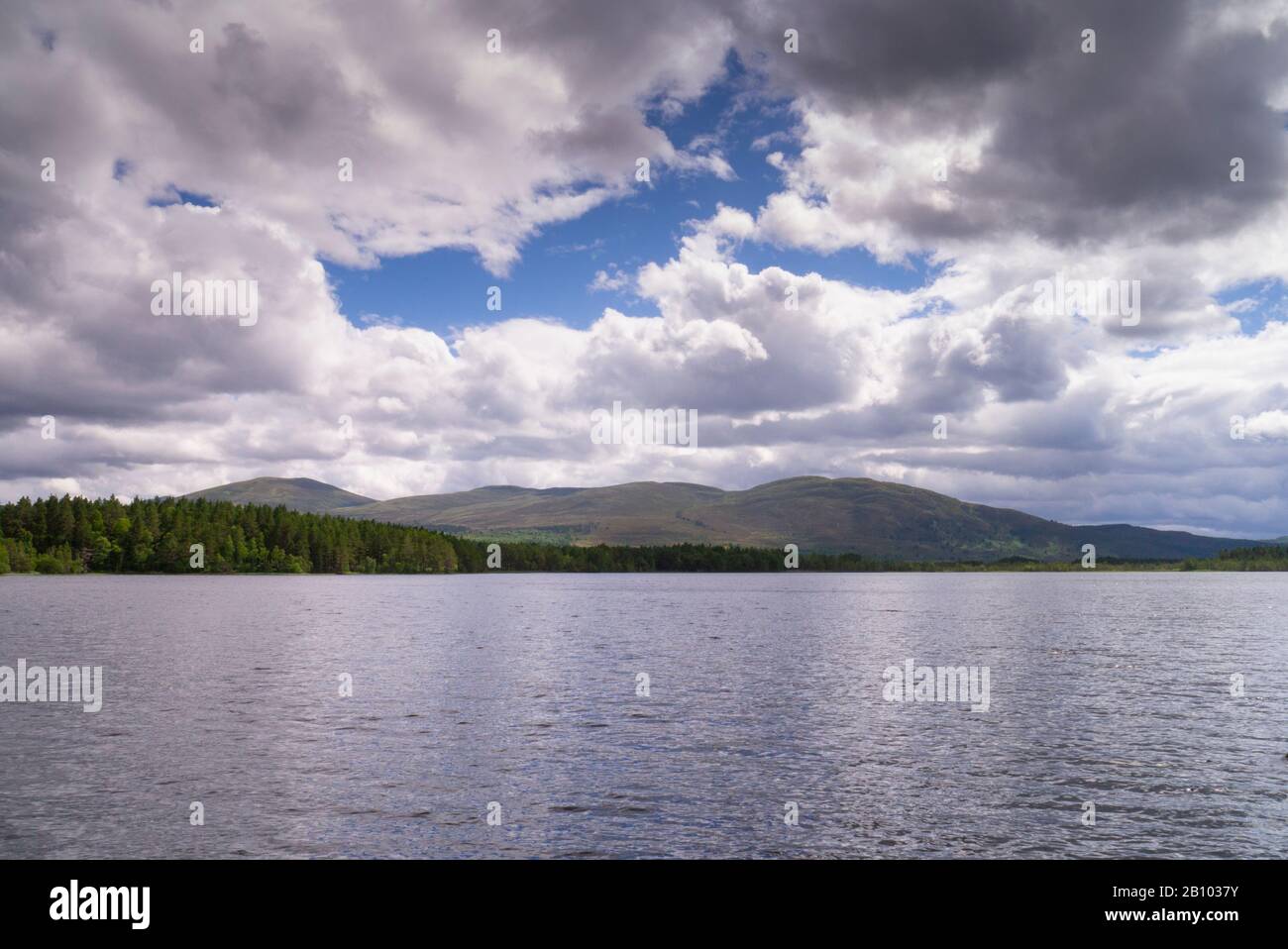 Loch Garten Cairngorm National Park Scotland UK Stockfoto