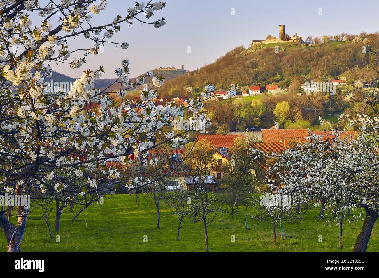 Wachsenburg thüringen Fotos und Bildmaterial in hoher Auflösung Alamy
