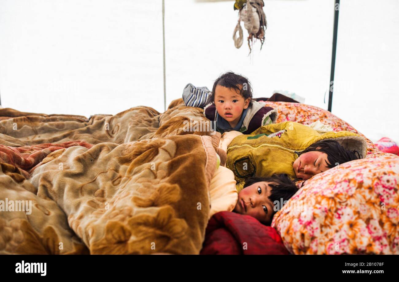 Nomaden Kinder in ihrem Zelt, dem tibetischen Plateau Stockfoto