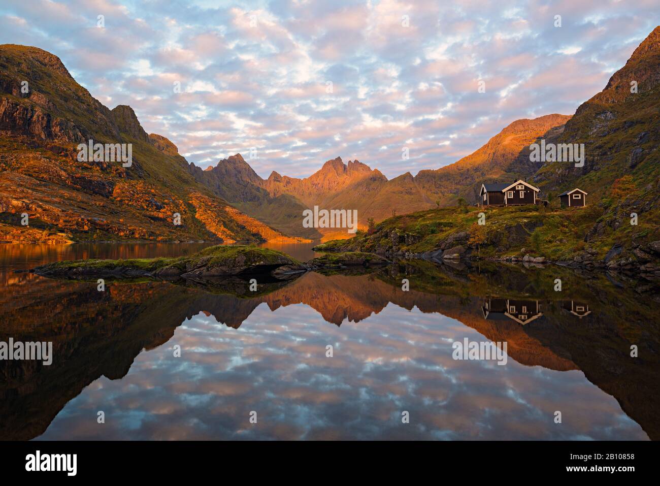Bergrücken mit Alpenglow, der sich in der Morgenlampe im See widerspiegelt, Avatnet, Moskenesoya, Lofoten, Norwegen Stockfoto