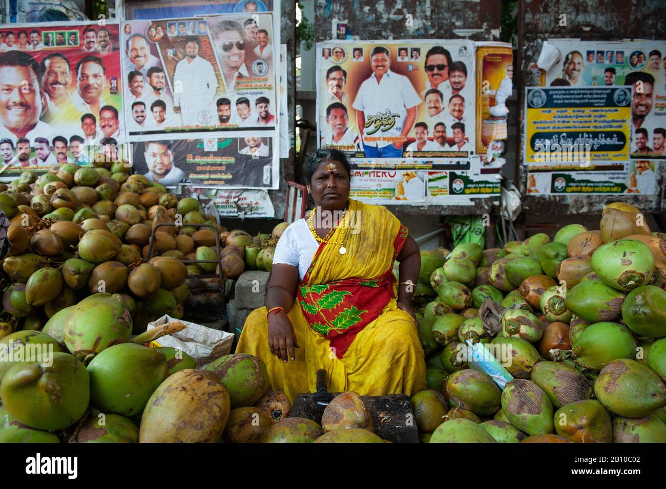 Pondicherry, INDIEN - Februar 2020: Ein Kokosnuss Händler im Zentrum der Stadt Stockfoto