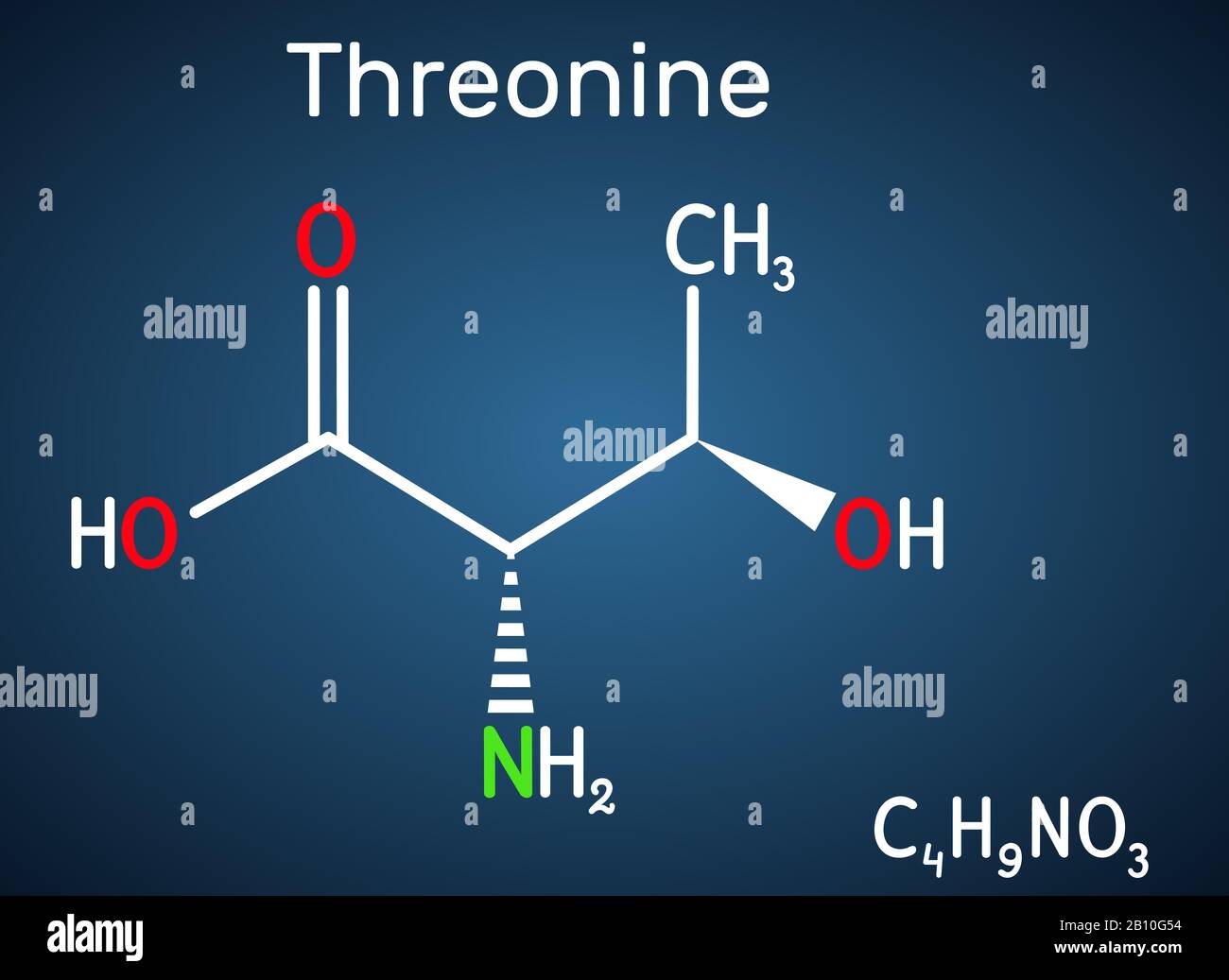 Threonin, L-Threonin, Thr, C4H9NO3 essentielle Aminosäuremoleküle. Strukturelle chemische Formel auf dem dunkelblauen Hintergrund. Vektorgrafiken Stock Vektor