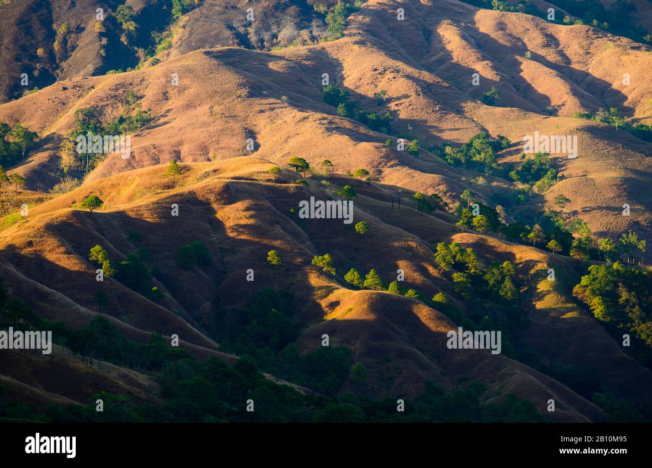 Rote Berge der Provinz Kalinga, Cordilleras, nördlich von Luzon, Philippinen Stockfoto