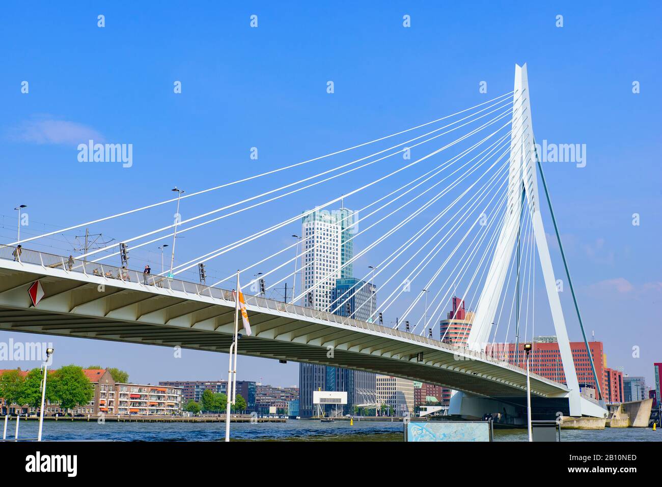 Erasmusbrug, eine Brücke im Zentrum von Rotterdam, Niederlande Stockfoto