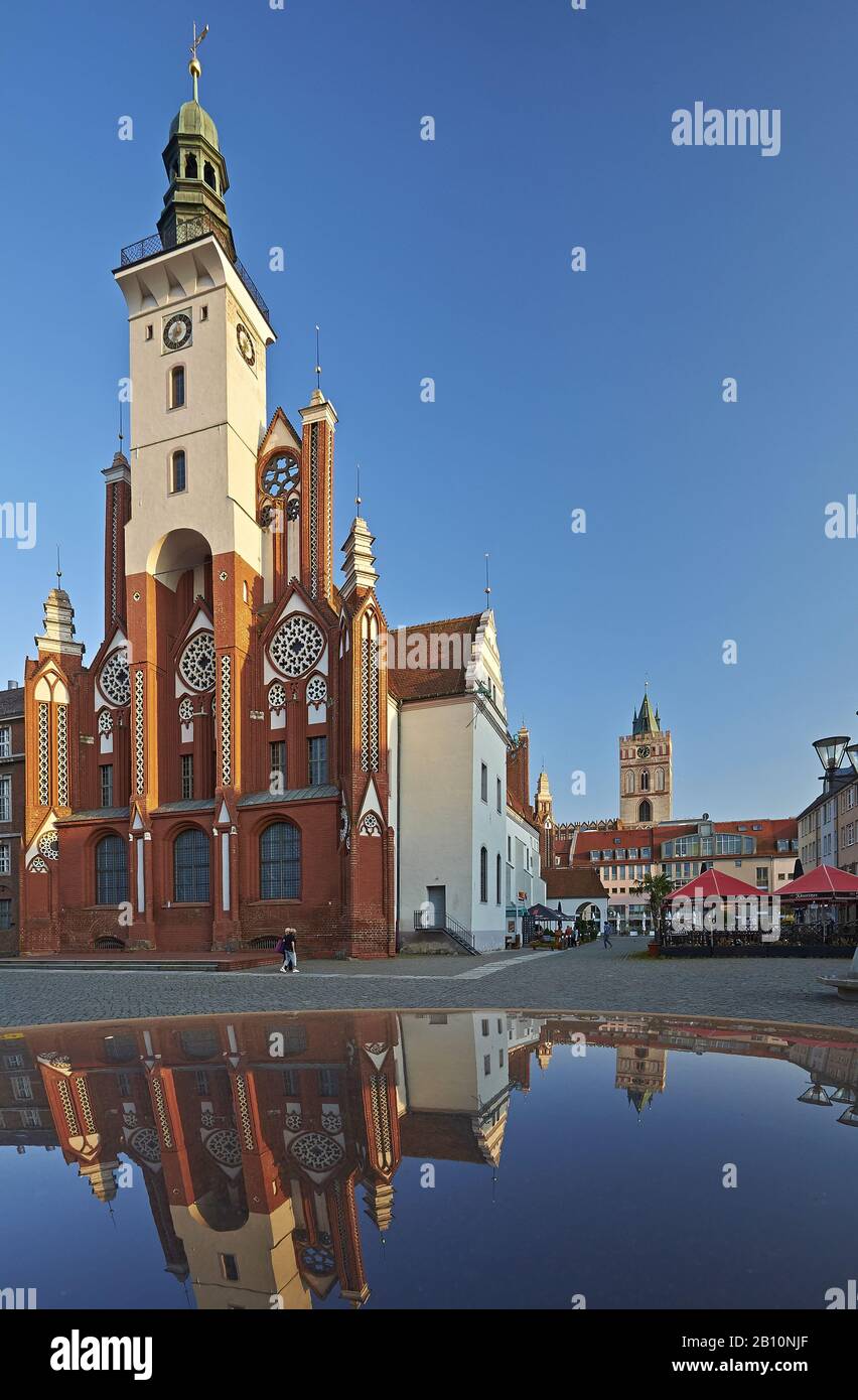 Rathaus am Markt in Frankfurt (oder), Brandenburg, Deutschland Stockfoto