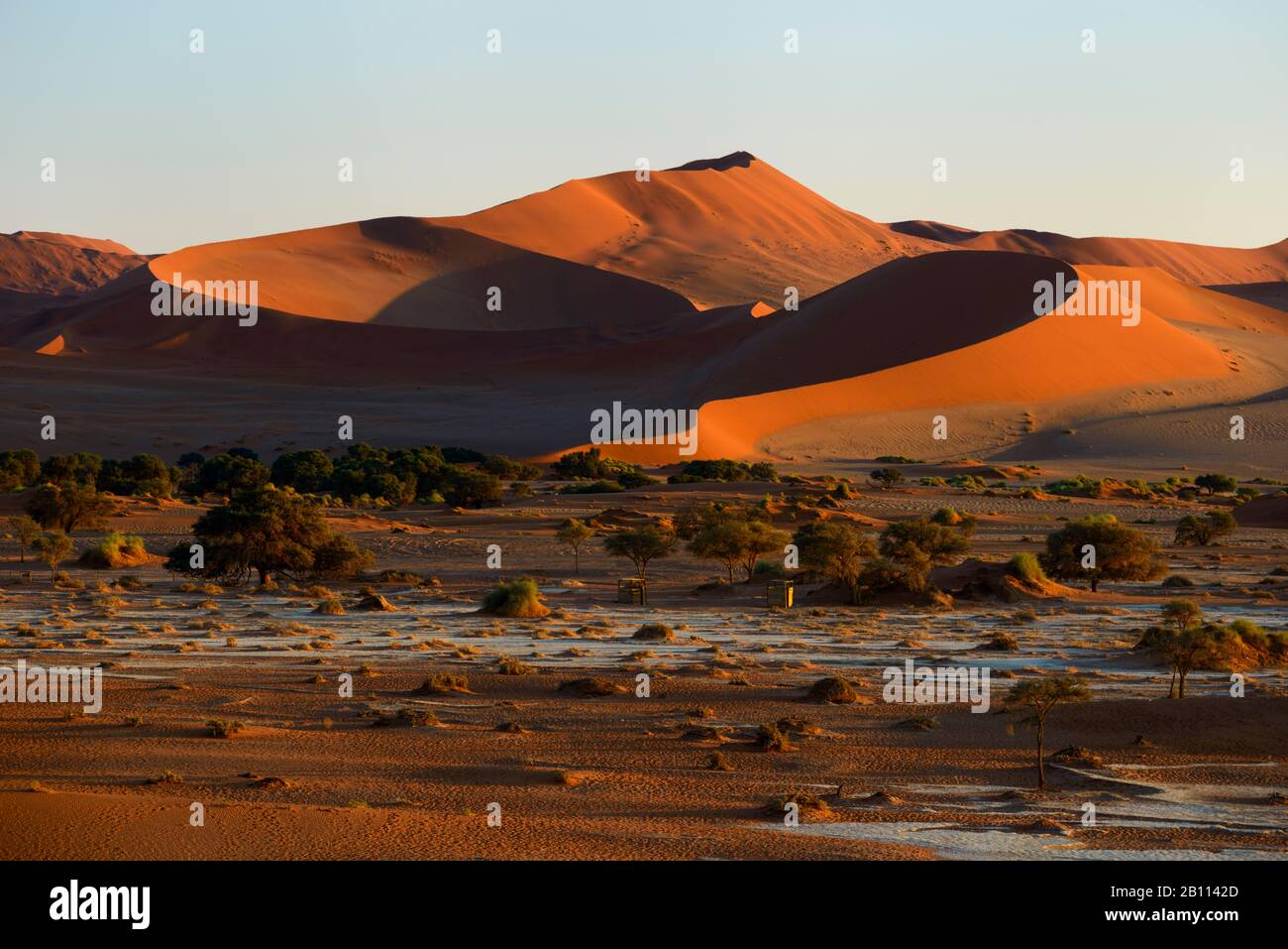 Die roten Dünen von Sossusvlei, Namibia Stockfoto