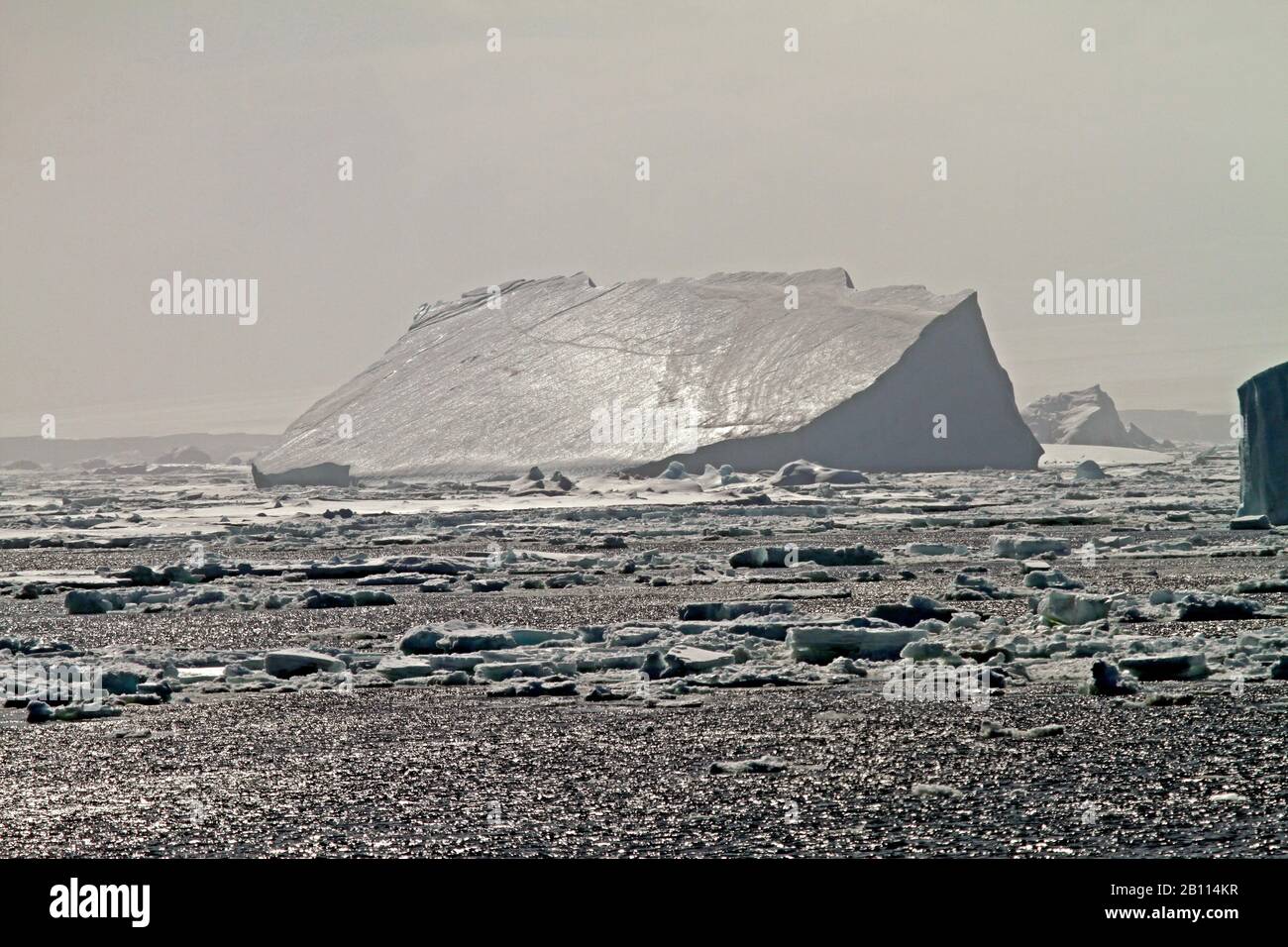 Eisberge im Weddell-Meer, in der Antarktis, im Weddell-Meer Stockfoto
