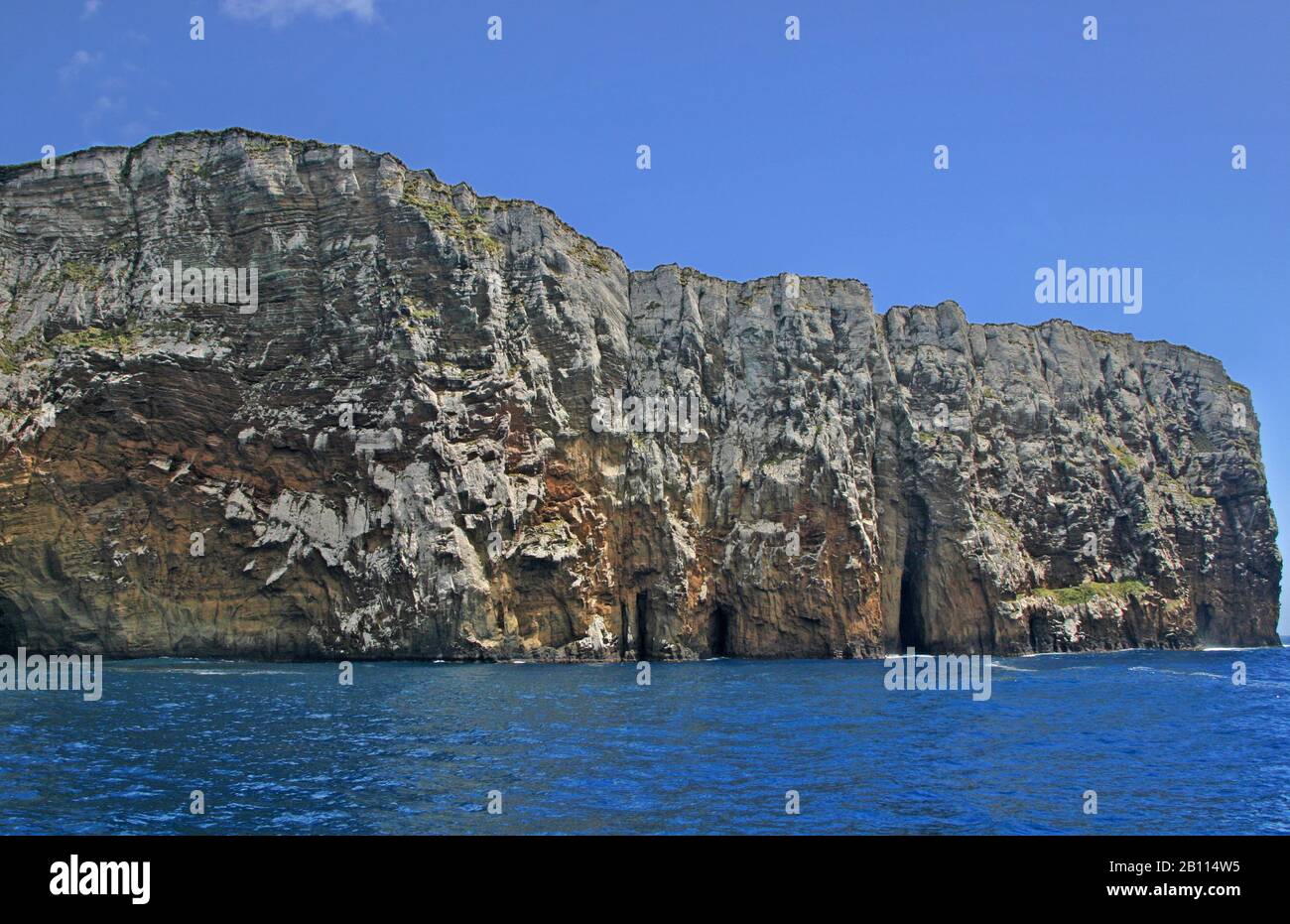 Antipodes Island, Neuseeland, Antipodes Island Stockfoto
