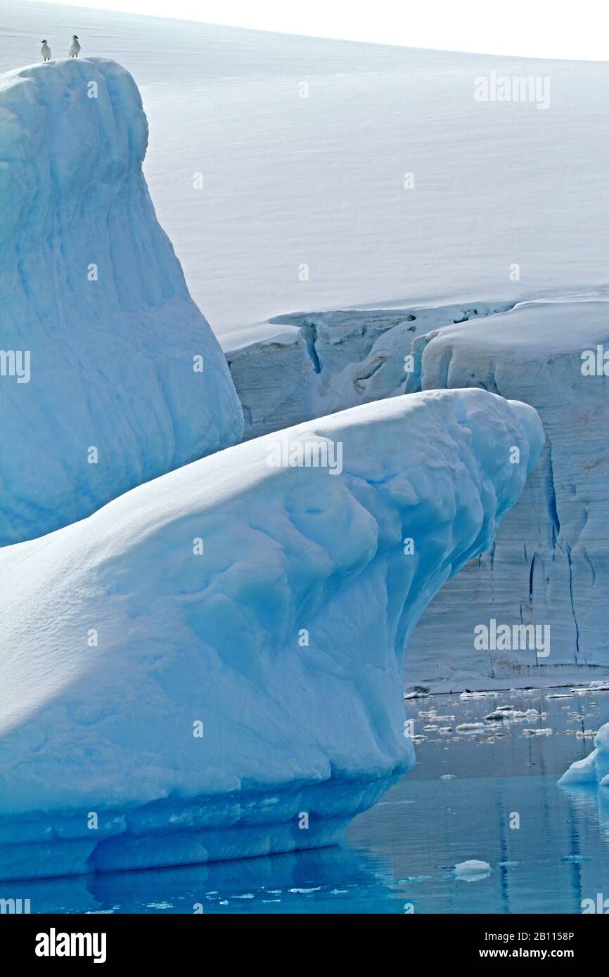 Eisberge in der Gerlache Strait, Antarktis Stockfoto