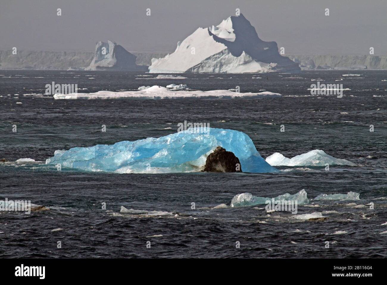 Eisberge im Weddell-Meer, in der Antarktis, im Weddell-Meer Stockfoto