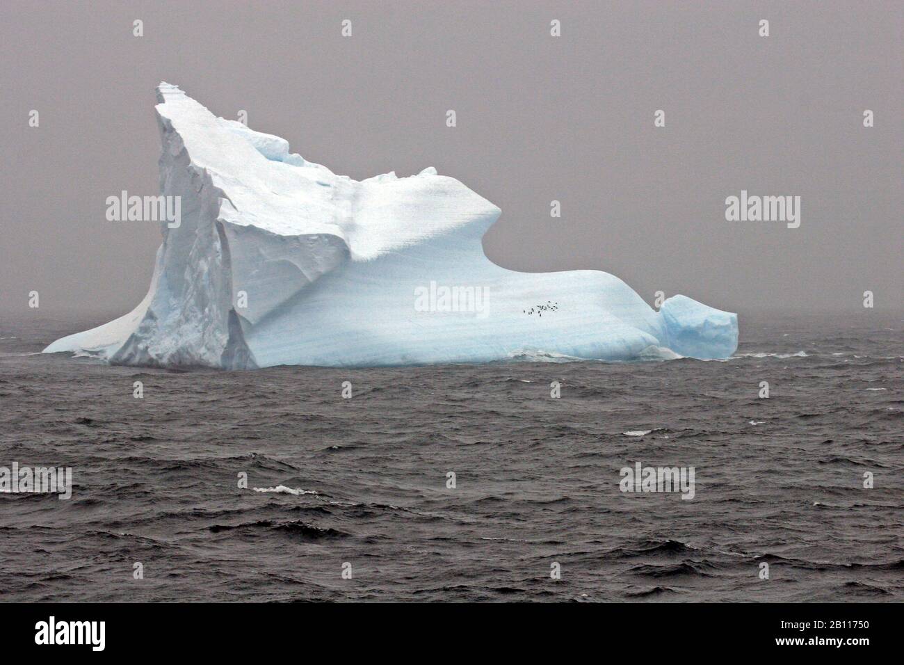 Eisberg in der Nähe der Esperanza Base, Antarktis Stockfoto