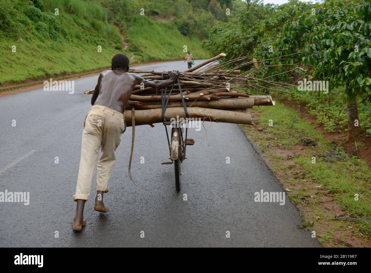 Man schiebt Fahrrad mit Brennholz, Burundi, Afrika Stockfoto