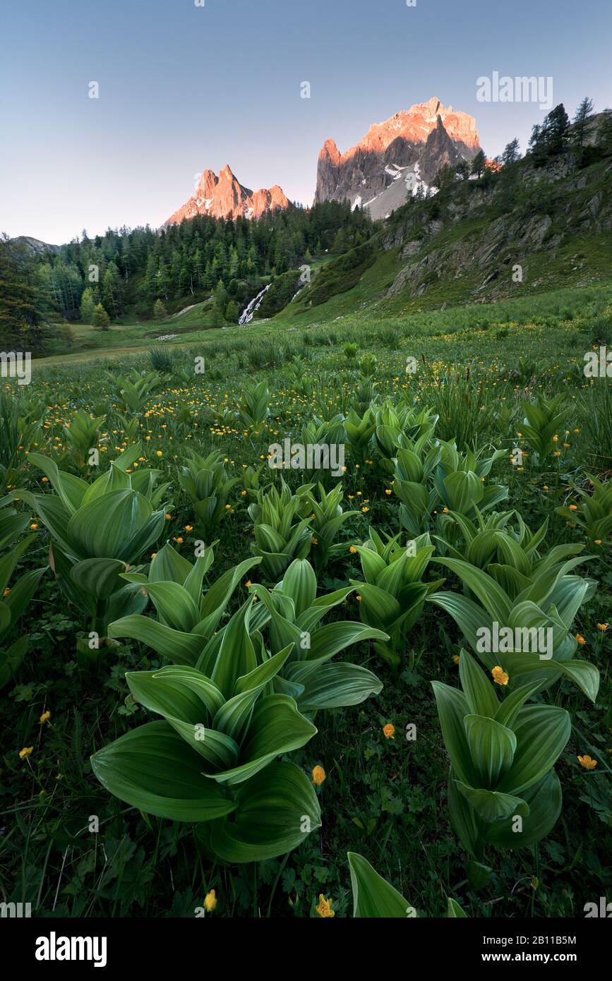 Alpenglow, Alpen, Frankreich, Europa Stockfoto