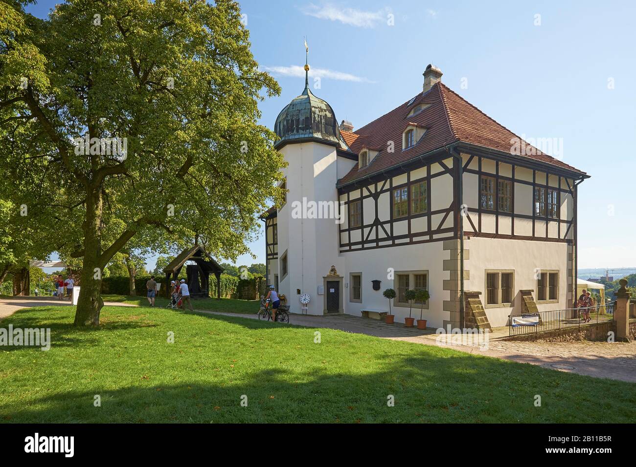 Weingut Hoflössnitz, Radebeul, Sachsen, Deutschland Stockfoto