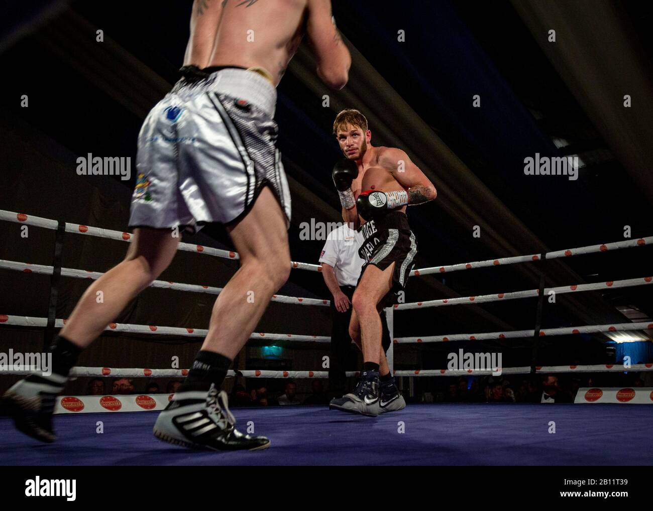 Federgewicht Champion Boxer Stockfotos und bilder Kaufen Alamy