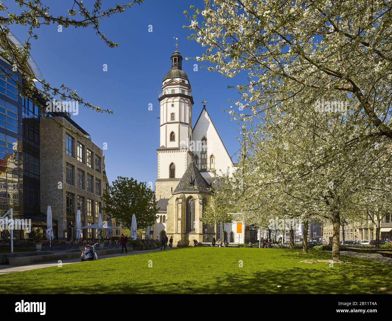 Thomaskirche in Leipzig, Sachsen, Deutschland Stockfoto