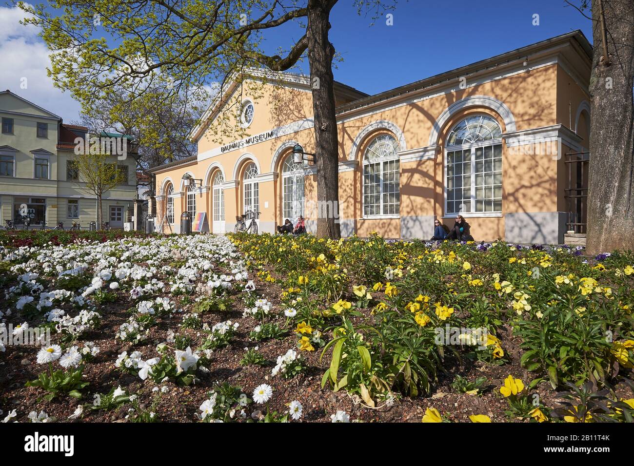 Bauhausmuseum am Theaterplatz, Weimar, Thüringen, Deutschland Stockfoto