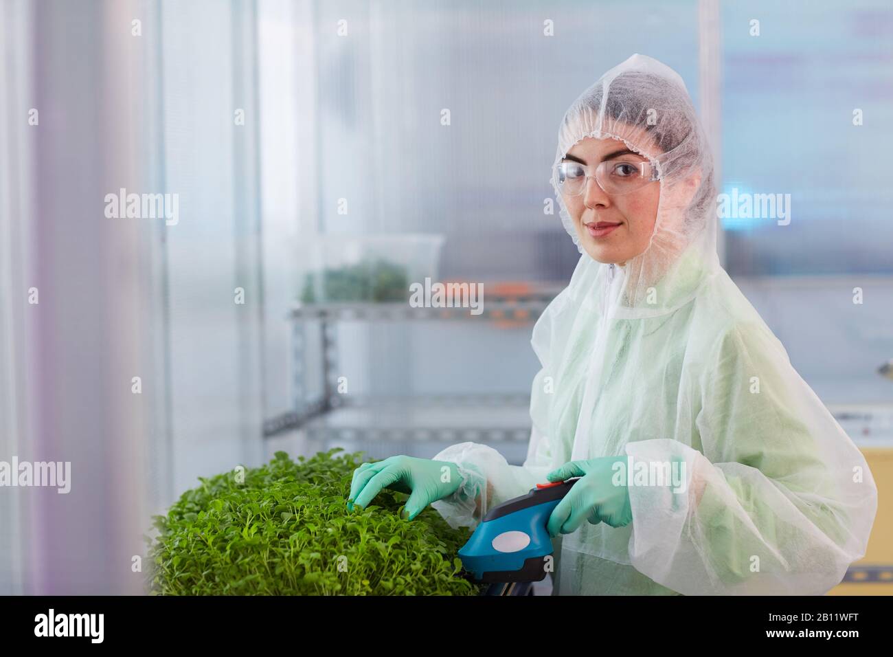 Porträt der jungen Frau in schützender Arbeitskleidung, die beim Schneiden junger Pflanzen im Labor auf die Kamera blickt Stockfoto