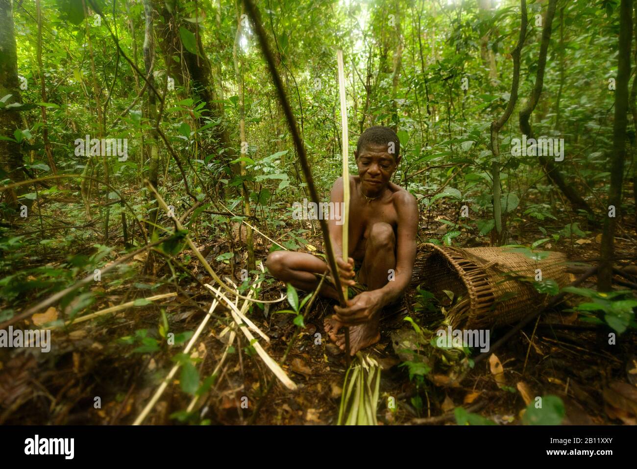 Das Leben der Bayaka Pygmäen im äquatorialen Regenwald, Zentralafrikanische Republik, Afrika Stockfoto