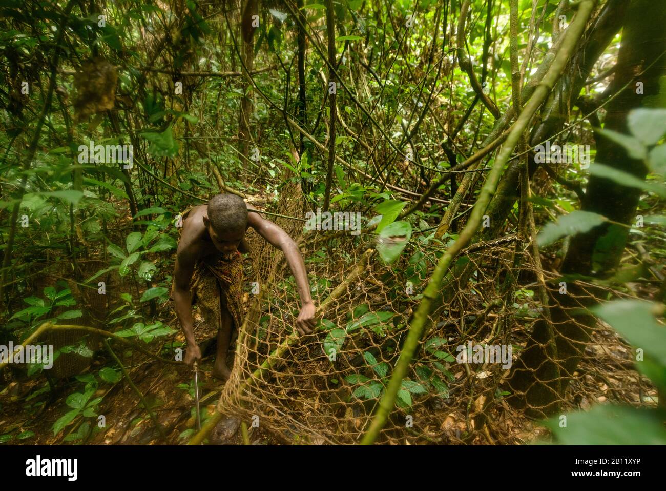 Das Leben der Bayaka Pygmäen im äquatorialen Regenwald, Zentralafrikanische Republik, Afrika Stockfoto