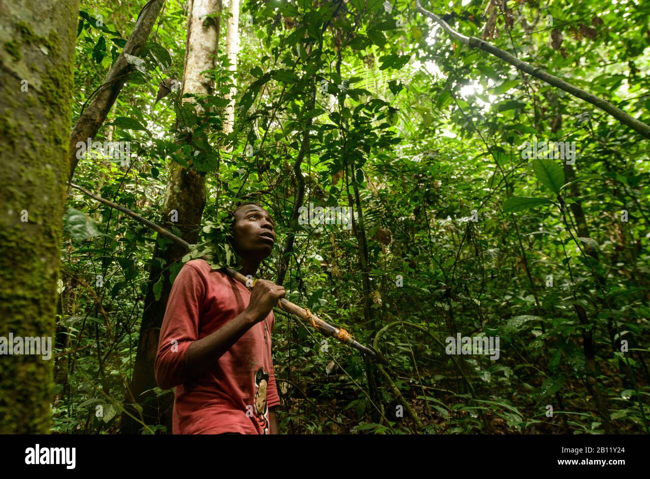 Das Leben der Bayaka Pygmäen im äquatorialen Regenwald, Zentralafrikanische Republik, Afrika Stockfoto